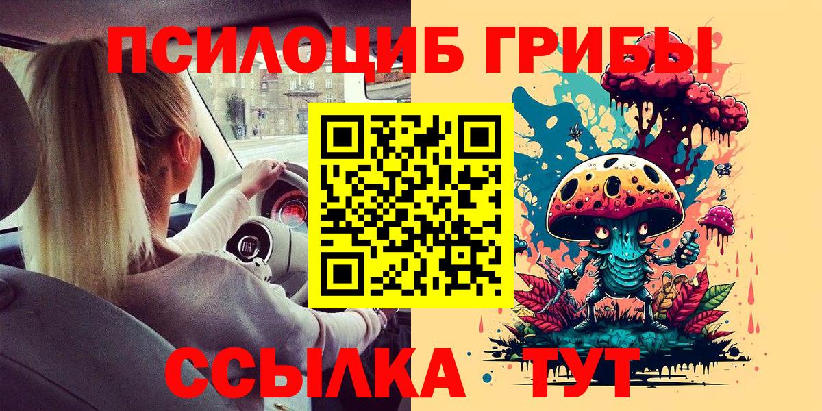 Псилоцибиновые грибы Psilocybe Глазов