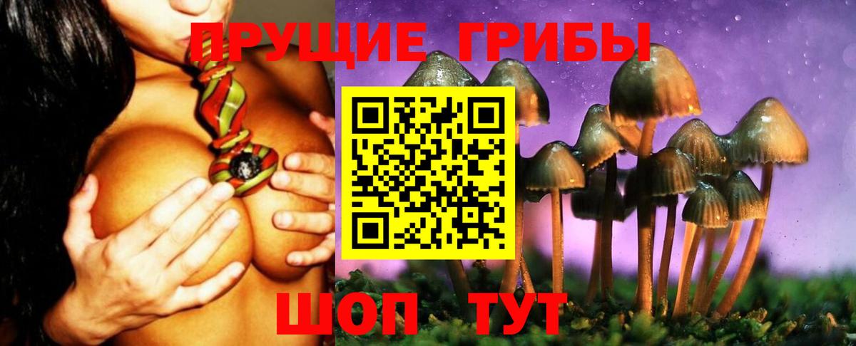 Глазов  Псилоцибиновые грибы Magic Shrooms  купить наркоту  Псилоцибиновые грибы прущие грибы  Вход с VPN 